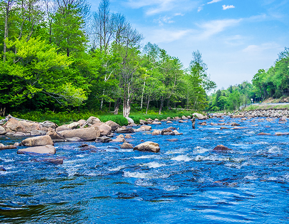 天然由来成分を配合！