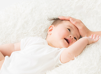 利用シーン写真