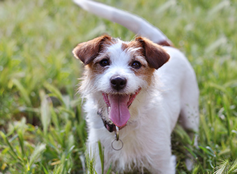 利用シーン写真